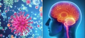 1613631171 dhs pandemic e1598606538484 کلینیک کاشن - آیاویروس کرونا منجر به افت شنوایی می شود ؟